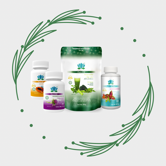 HIPO DTOX