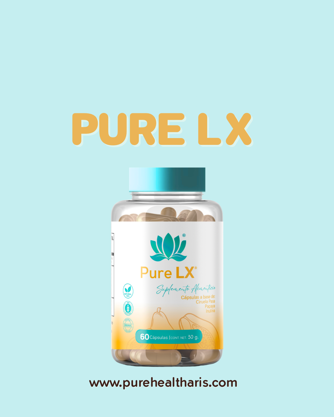 Pure Lx