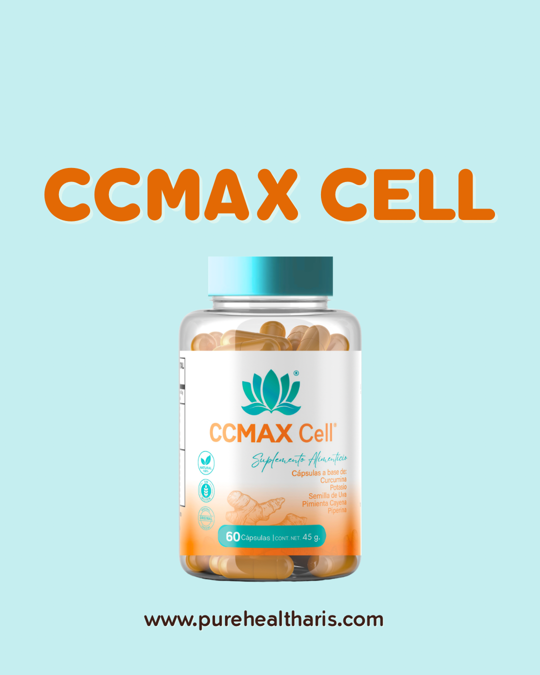 CCMAX