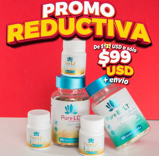 PROMO BUEN FIN REDCE